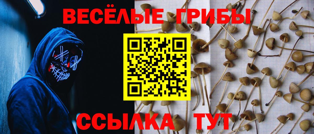Псилоцибиновые грибы Magic Shrooms Каменск-Уральский
